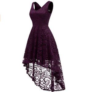 Sleeveless Hi-Lo Lace Cocktail Dress